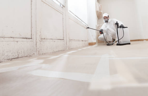 24/7 Emergency Mold Remediation experts in Rutherford, PA