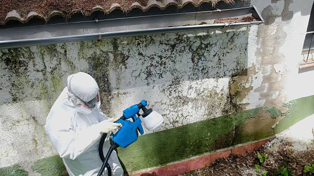 Top rated local Mold Remediation specialists in Rutherford, PA